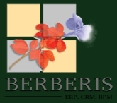 CRM Berberis